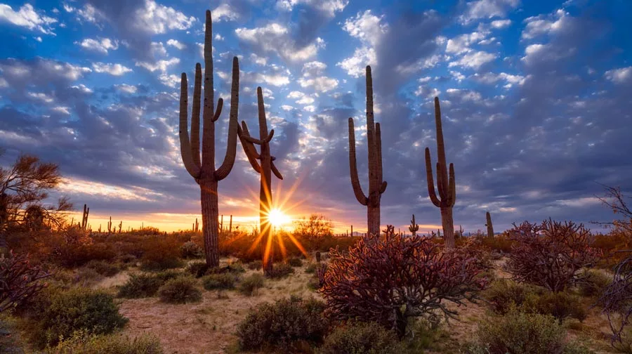 Rehab in Arizona